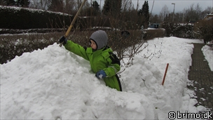 Miniature af billede nummer 1911