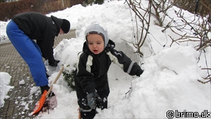 Miniature af billede nummer 1912