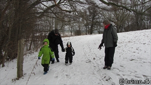 Miniature af billede nummer 1914