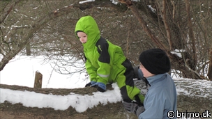 Miniature af billede nummer 1915