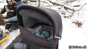 Miniature af billede nummer 1917