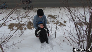 Miniature af billede nummer 1921