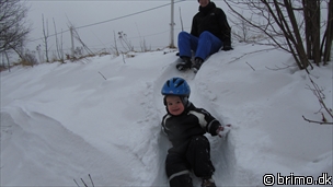 Miniature af billede nummer 1922