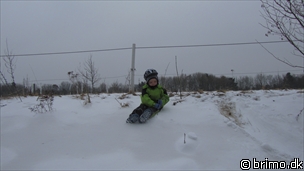 Miniature af billede nummer 1923