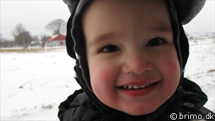 Miniature af billede nummer 1924