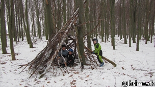 Miniature af billede nummer 1925