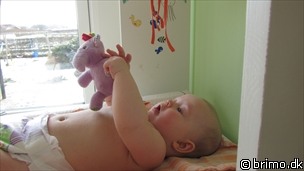 Miniature af billede nummer 1930