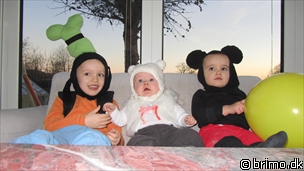 Miniature af billede nummer 1935