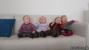 Miniature af billede nummer 1936