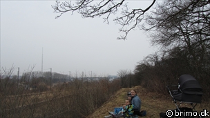 Miniature af billede nummer 1937