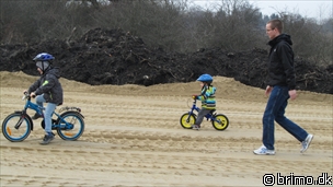 Miniature af billede nummer 1941