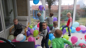 Miniature af billede nummer 1955