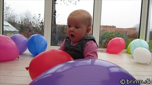 Miniature af billede nummer 1956