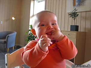 Miniature af billede nummer 1968