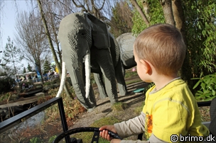 Miniature af billede nummer 1977