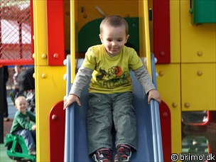 Miniature af billede nummer 1979