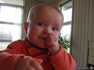 Miniature af billede nummer 1990