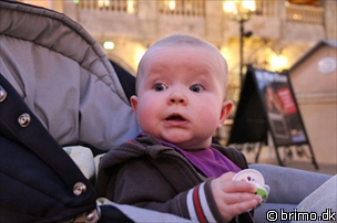 Miniature af billede nummer 1992