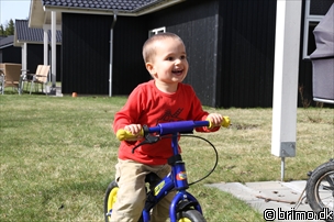 Miniature af billede nummer 1999