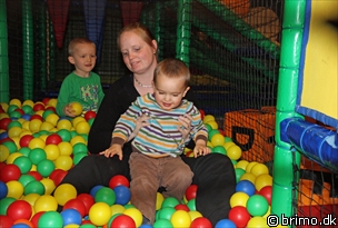 Miniature af billede nummer 2001