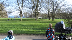 Miniature af billede nummer 2006