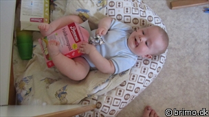 Miniature af billede nummer 2013