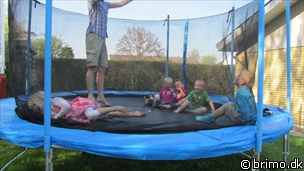 Miniature af billede nummer 2015