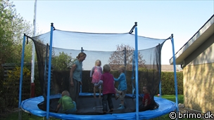 Miniature af billede nummer 2016