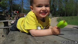 Miniature af billede nummer 2019