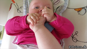 Miniature af billede nummer 2020