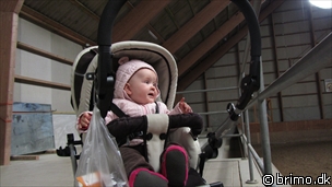 Miniature af billede nummer 2035