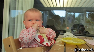 Miniature af billede nummer 2039