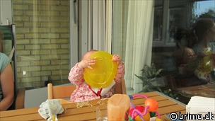 Miniature af billede nummer 2041