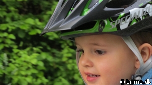 Miniature af billede nummer 2044