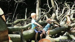 Tilfældigt billede fra Juni 2011