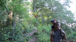 Miniature af billede nummer 2031