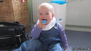 Miniature af billede nummer 2045