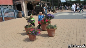 Miniature af billede nummer 2048