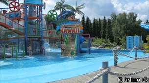 Miniature af billede nummer 2051