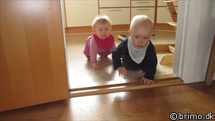 Miniature af billede nummer 2063