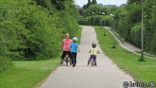 Miniature af billede nummer 2065