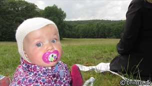 Miniature af billede nummer 2066