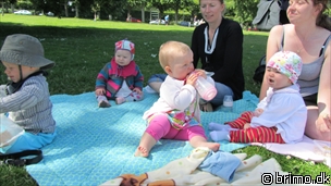 Miniature af billede nummer 2072