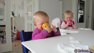 Miniature af billede nummer 2085