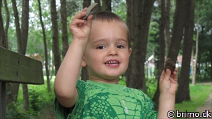 Miniature af billede nummer 2089