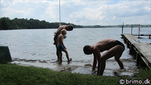 Miniature af billede nummer 2094