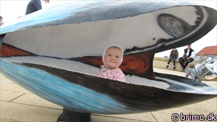 Miniature af billede nummer 2103