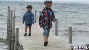 Miniature af billede nummer 2109