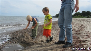 Miniature af billede nummer 2112