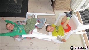 Miniature af billede nummer 2113